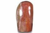 Free-Standing, Polished Petrified Wood - Madagascar #271807-1